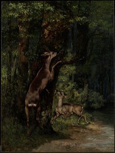 Hjort i skogen av Gustave Courbet