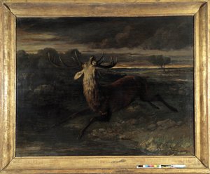 Hjorten har vann (jager et løp) sier hjortekraften (olje på lerret) av Gustave Courbet