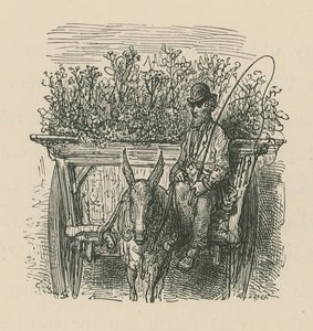 En mann som kjører en vogn lastet med planter og blomster av Gustave Dore