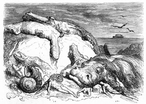 Gravering av Gustave Dore rundt 1850: fremkalling av en apokalyptisk syndflod som kombinerer bibelsk tradisjon (man kan se Noahs ark i det fjerne på havet) og begynnelsen på vitenskapelig kunnskap (forskjellige uhyrlige dyr mislyktes på fjellet, fortrinnsv av Gustave Dore
