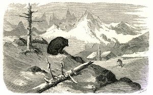  av Gustave Dore
