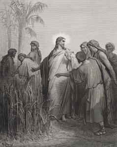 Jesus og hans disipler i kornåkeren, illustrasjon fra Dores 