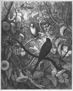 Philomele og Progne - fra "Fables" av Jean de La Fontaine av Gustave Dore