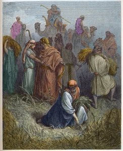 Ruth og Boaz (Booz) - Ruth arbeider på markene til Boas (Boaz) (Ruth og Boaz) - - gravering i "The Bible illustree" av Gustave Dore (1832-1883) - Gravering fra "" The Dore Bible"" av Gustave Dore
