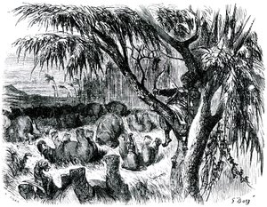  av Gustave Dore