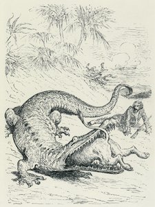 «Baronen av Münchausens eventyr» (Munchhausen): Den fryktløse baronen av Münchausens forfulgte vei krysser veien til en enorm krokodille som vil sluke løven. Illustrasjon av Gustave Doré Slutten av 1800-tallet. av Gustave Dore