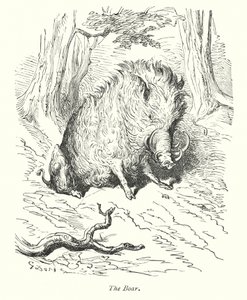 Villsvinet (gravering) av Gustave Dore
