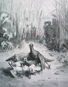 The Fable of the Lark, hennes unge og feltets mester, illustrasjon for Fables of La Fontaine rnrn av Gustave Dore