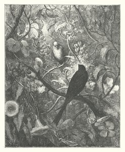  av Gustave Dore