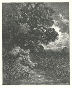 La Fontaines fabler: Eiken og sivet (gravering) av Gustave Dore