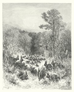 La Fontaines fabler: Kaninene (gravering) av Gustave Dore