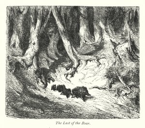Den siste villsvinen (gravering) av Gustave Dore