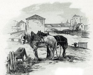 Transporthester, quai de la Gironde, Villette (hester som brukes til å slepe båtene på kanalen saint-denis, quai de la gironde, Villette Paris) Tegning av Gustave Fraipont (1849-1923) fra Saint-Juirs av Gustave Fraipont