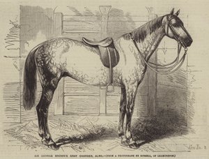 Sir George Browns Grey Charger, Alma av Gustave Janet