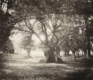  av Gustave Le Gray