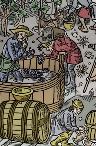 Høst - druehøst - Hyrdekalender - Månedens arbeid - Oktober - Tresnitt fra boken fra 1496 trykt av Guy Marchant (Guido Mercator) i Troyes - Tregravering i "" Le grand Calendrier et compost des shepherds"" - Høsten - og th av Guy Marchant