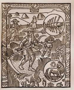 Hyrdekalender - Månedens arbeid - Juli - Tresnitt fra boken fra 1496 trykket av Guy Marchant (Guido Mercator) i Troyes - Hay, la coupe des hay - Gravering sur bois i "" Le grand Calendrier et compost des shepherds"" - av Guy Marchant