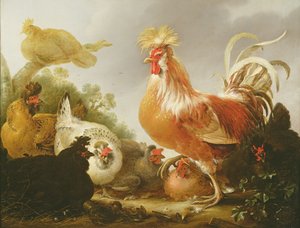 Hane og høner i et landskap, 1649 av Gysbert Hondecoeter