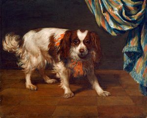 En King Charles Spaniel (olje på panel) av Gysbert van de Kuyl