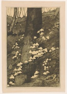 Sopp i en skog Høst (original tittel) av H.C. Spruit (signed by artist)