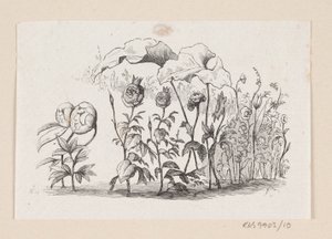 Illustrasjon til "Den lille Idas Blomster" i H.C. Andersen, "Eventyr og historier", bind 1 av H.P. Hansen
