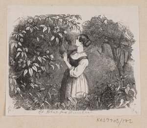 Illustrasjon til "A Leaf from Heaven" i H.C. Andersen, "Eventyr og historier", bind 2
