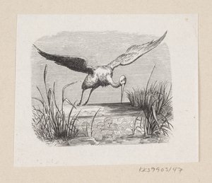 Illustrasjon til «Storkene» i H.C. Andersen, "Eventyr og historier", bind 1 av H.P. Hansen