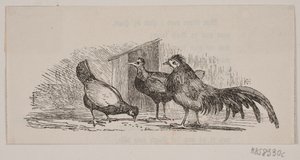 Tre kyllinger av H. C. Henneberg