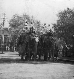En Punjabi-prinsesse som rir på en elefant i en prosesjon, Delhi, India, 1900-tallet.