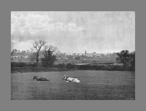 Southwell, c1900 av H. J. Bliss