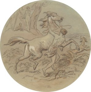 En av atten design for en serie plater som illustrerer Venus og Adonis av Hablot Knight Browne