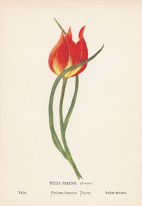  av Hannah Zeller