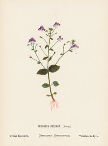  av Hannah Zeller
