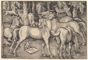Gruppe på syv hester, 1534. av Hans Baldung