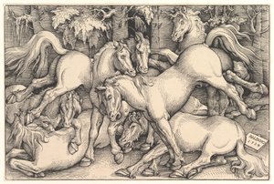 Gruppe på syv hester, 1534. av Hans Baldung