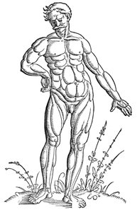  av Hans Baldung Grien