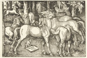 Gruppe på syv hester og en ape av Hans Baldung Grien