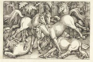 Gruppe på syv kamphester av Hans Baldung Grien