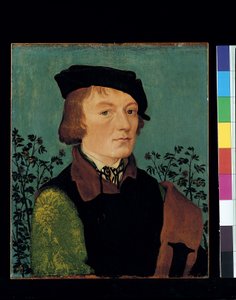 Portrett av en mann foran en rosehekk (olje på tre) av Hans Baldung Grien