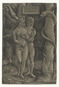 Adam og Evas fristelse i paradis Fall of Man Lapsvs Hvmani Generis (tittel på objekt) av Hans Baldung Grien