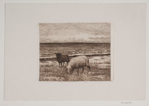 Sauer på stranden av Hans Christian Gether Caspersen