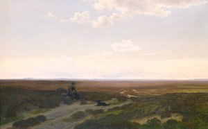 Utsikt over Pårup Moors nær Silkeborg, Jylland av Hans Friis