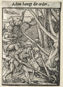 Dødedansen: Adam Tilling the Ground av Hans Holbein