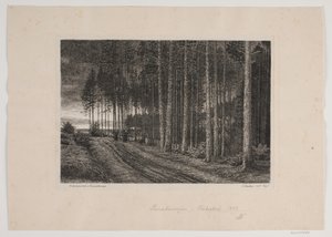 Regnværsdag i granskogen av Hans Julius Fæster
