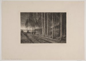 Regnværsdag i granskogen av Hans Julius Fæster