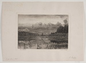 Innsjøen i granskogen av Hans Julius Fæster