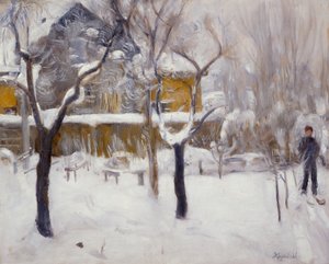 Vinterlandskap