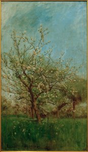 Blomstrende trær Uerdenbach