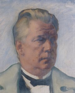  av Hans Schachinger