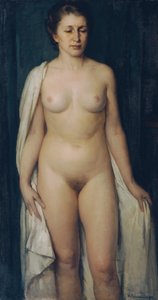  av Hans Schachinger